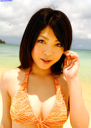 Japanese Sakura Sato Special Karmalita Atkexotics jpg 4